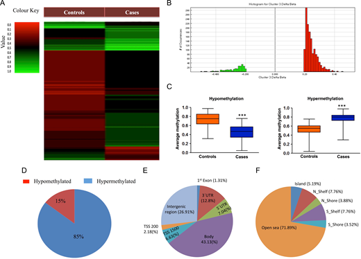 Heat map of genome-wide DNA methylation.