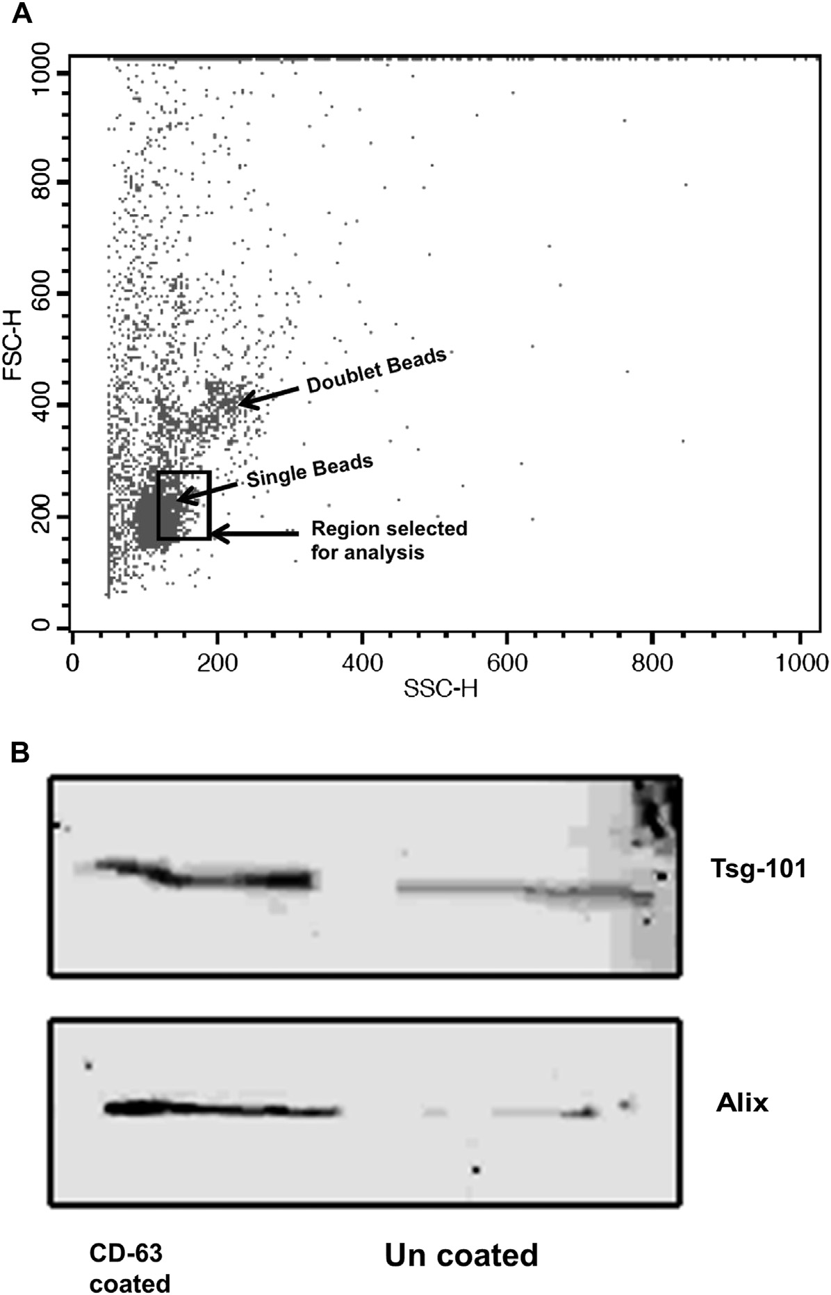 exosomes