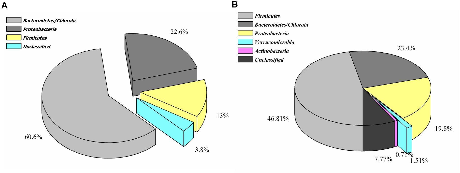 Phylogenetic affiliation of the features associated with catechol (A) and protocatechuate (B) catabolism.