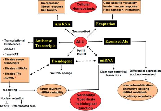 From 'JUNK' to just unexplored noncoding knowledge: the case of transcribed Alus.