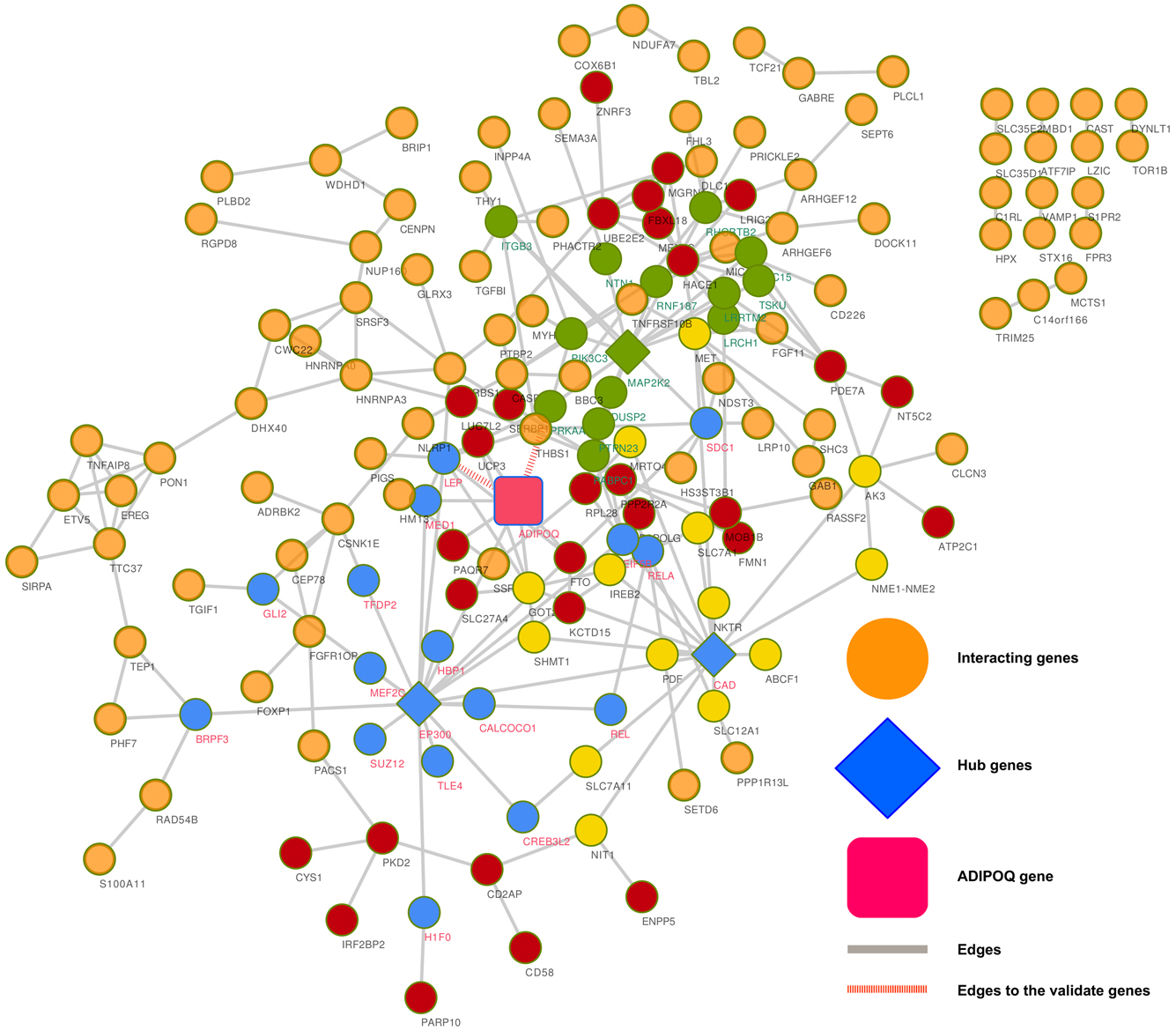 A network view of miR-876-3p target genes.
