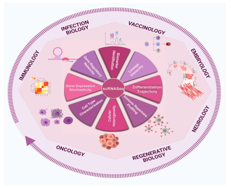 hyper-inflammation