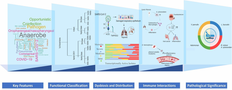 hyper-inflammation