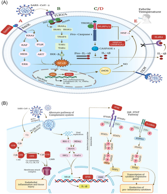 hyper-inflammation