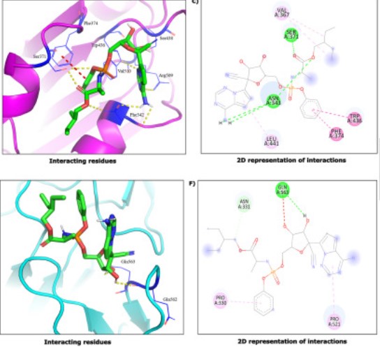 hyper-inflammation