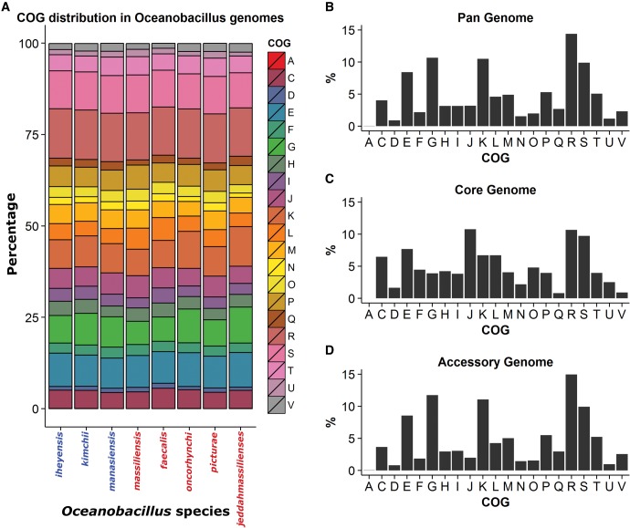 Functional diversity in Oceanobacillus.