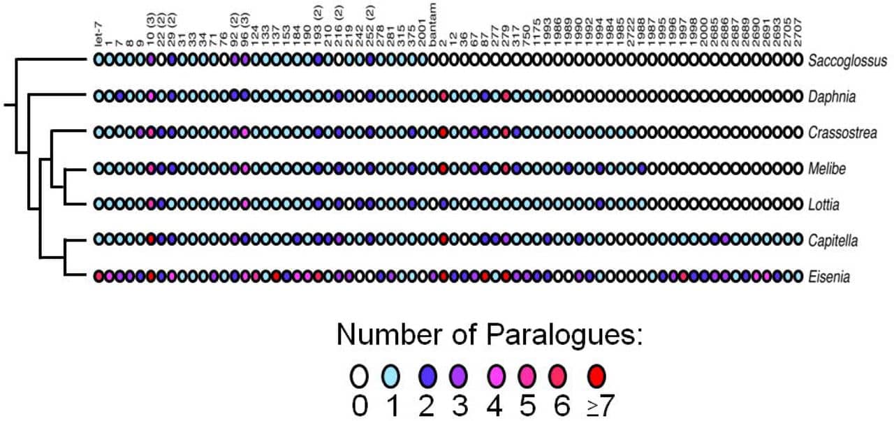Insights into regeneration from the genome, transcriptome and metagenome analysis of Eisenia fetida.